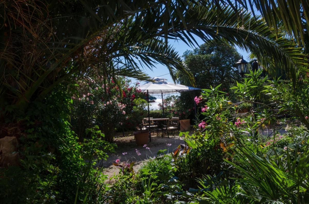 Apartament Anna